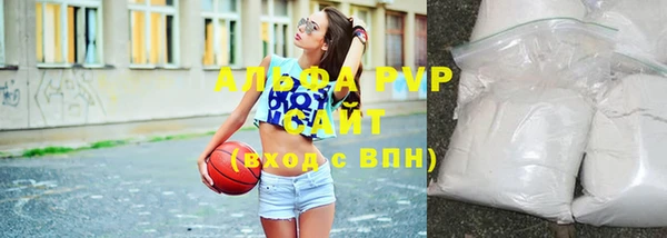 ПСИЛОЦИБИНОВЫЕ ГРИБЫ Переславль-Залесский