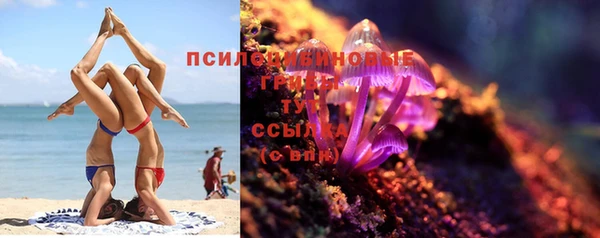 ПСИЛОЦИБИНОВЫЕ ГРИБЫ Переславль-Залесский