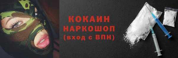 a pvp Пересвет