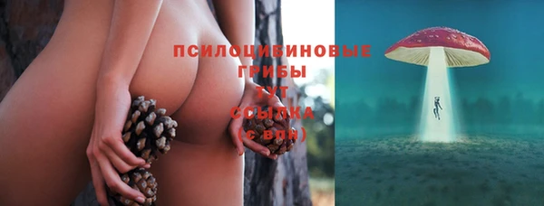 стаф Пестово