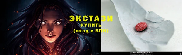 a pvp Пересвет