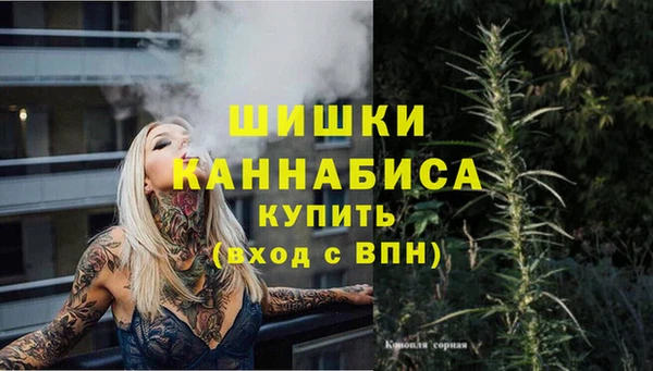 ПСИЛОЦИБИНОВЫЕ ГРИБЫ Переславль-Залесский