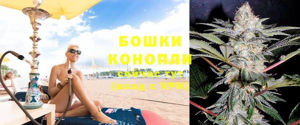стаф Пестово