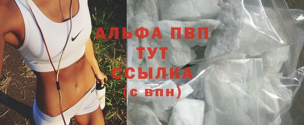 ПСИЛОЦИБИНОВЫЕ ГРИБЫ Переславль-Залесский