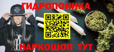 стафф Абакан