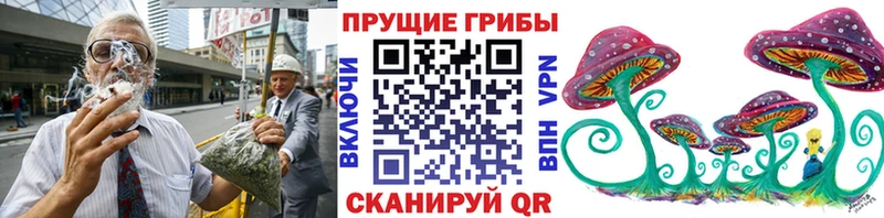 Галлюциногенные грибы Psilocybine cubensis  Азнакаево 