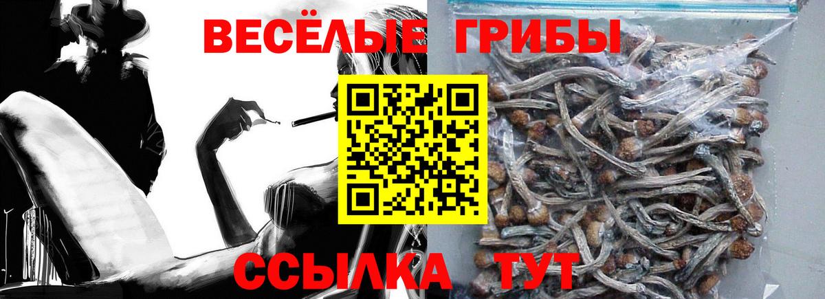 Псилоцибиновые грибы Cubensis Азнакаево