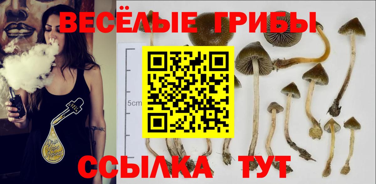 Галлюциногенные грибы мицелий  купить наркотик  Вход с VPN  Азнакаево  Галлюциногенные грибы Magic Shrooms 